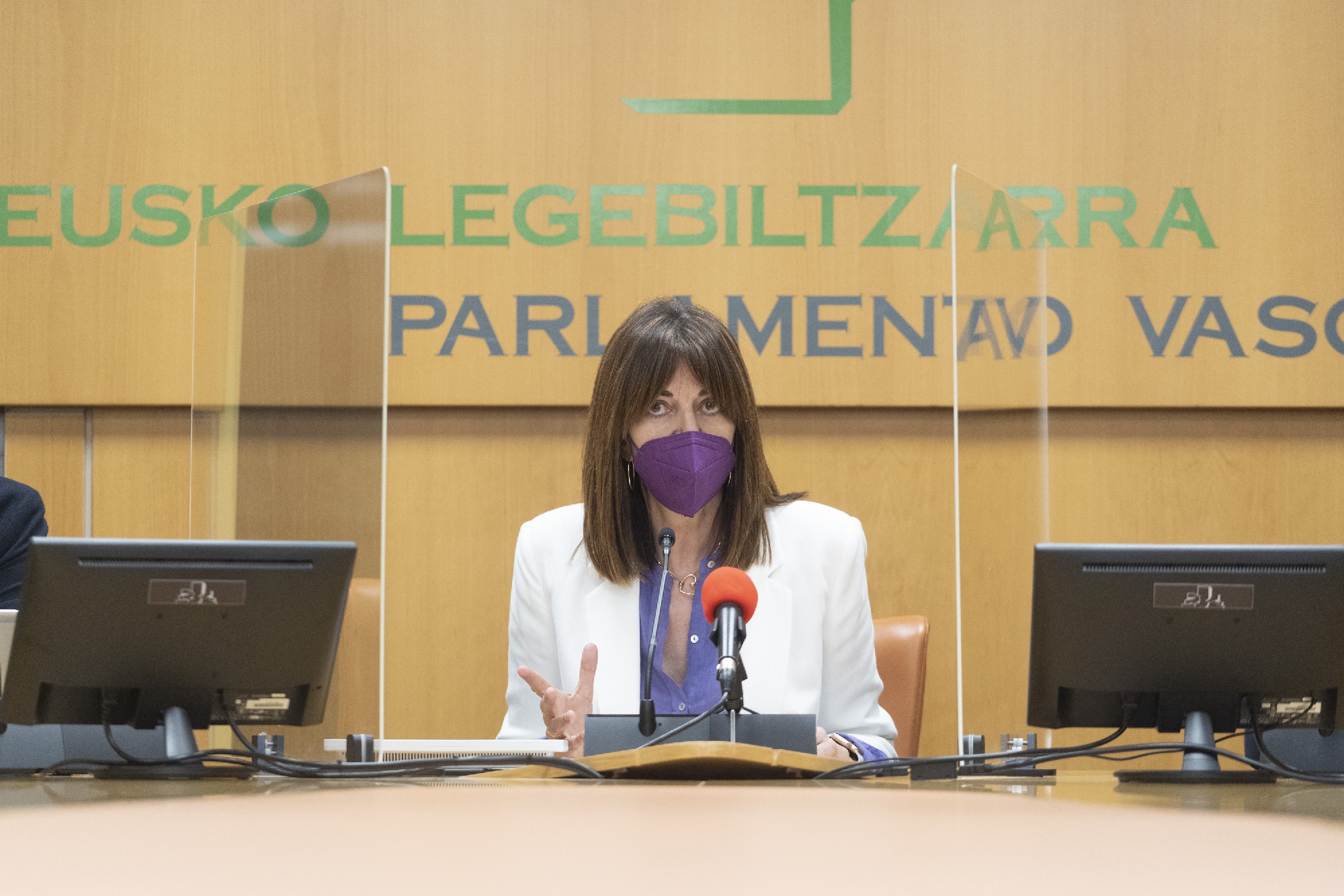 Idoia Mendi interviene ante el Grupo Parlmantario Socialistas Vascos Euskal Sozialistak | Foto: Socialistas Vascos