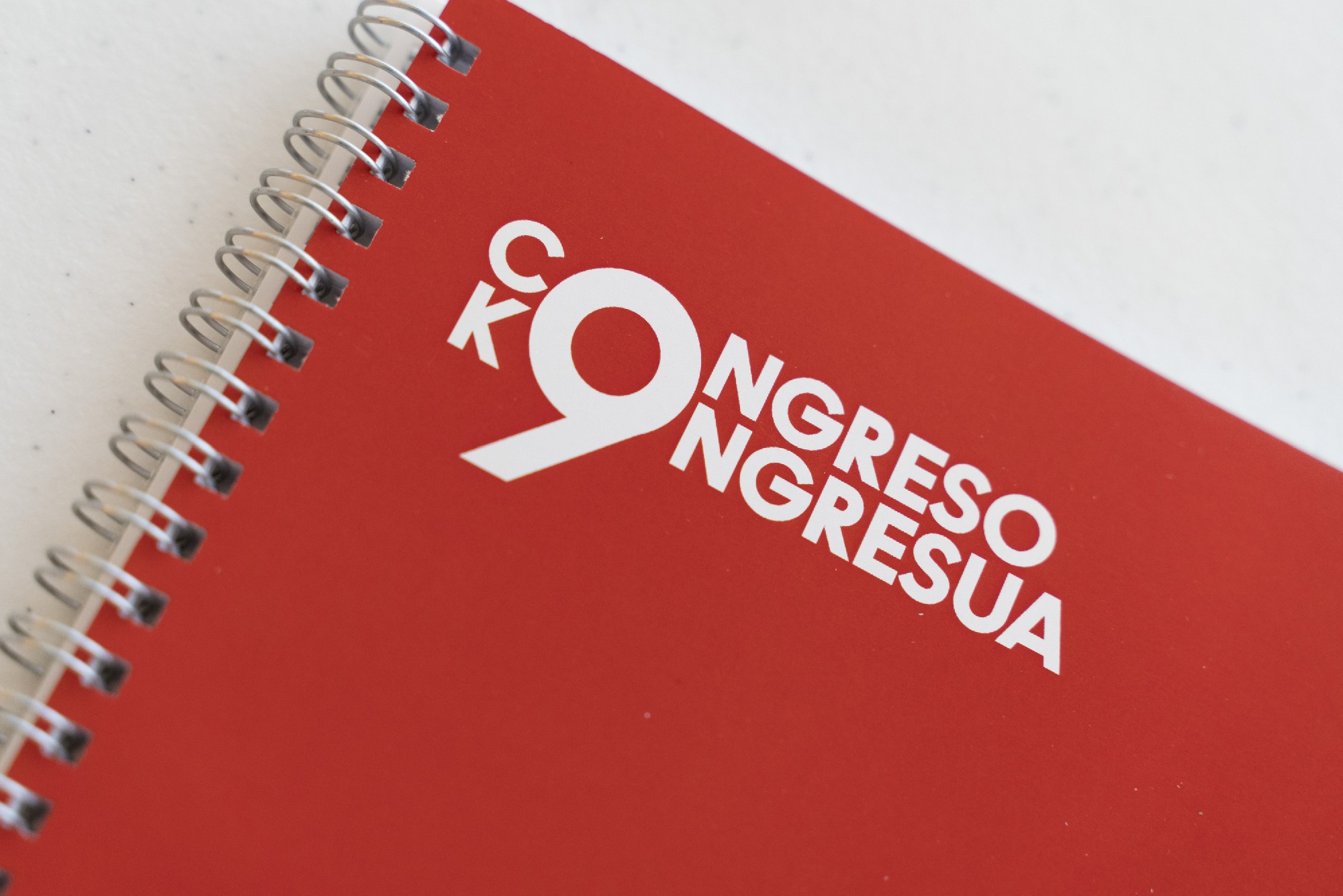 Presentación Ponencia Política | Foto: Socialistas Vascos