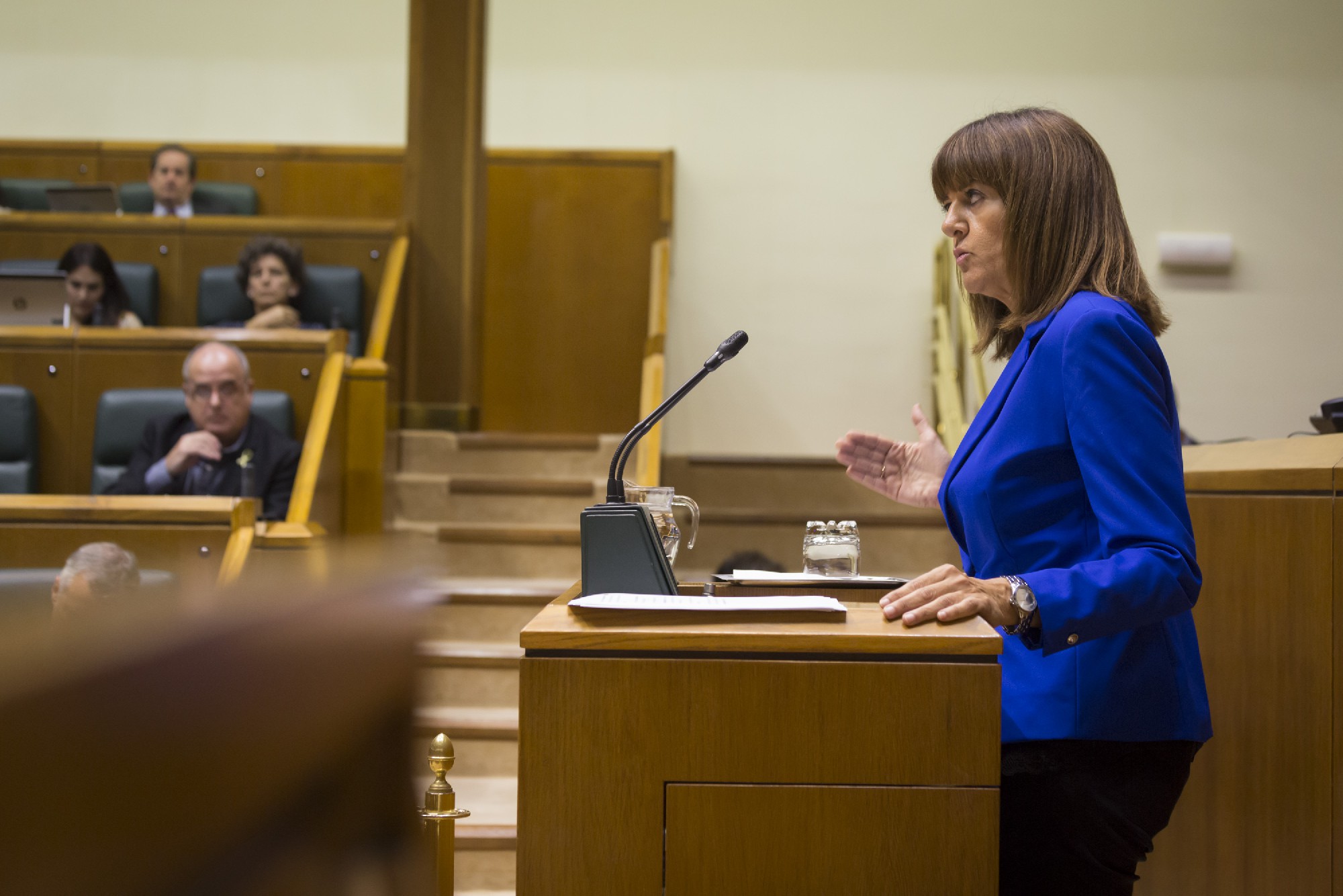 Idoia Mendia interviene en el Pleno de Pol&iacute;tica General | Foto: Socialistas Vascos
