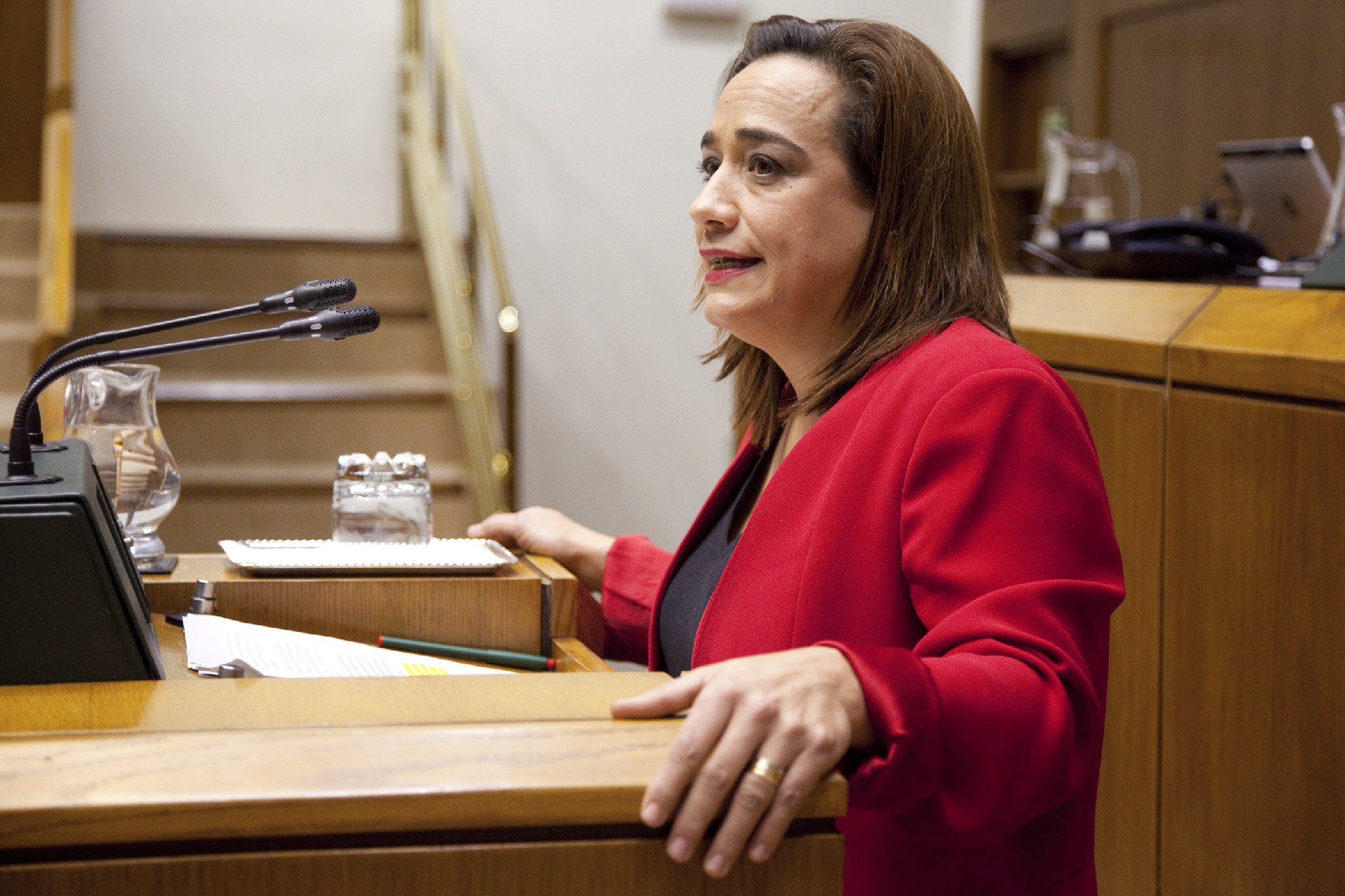 Rafi Romero, en una intervenci&oacute;n en el Parlamento Vasco | Foto: Parlamento Vasco.