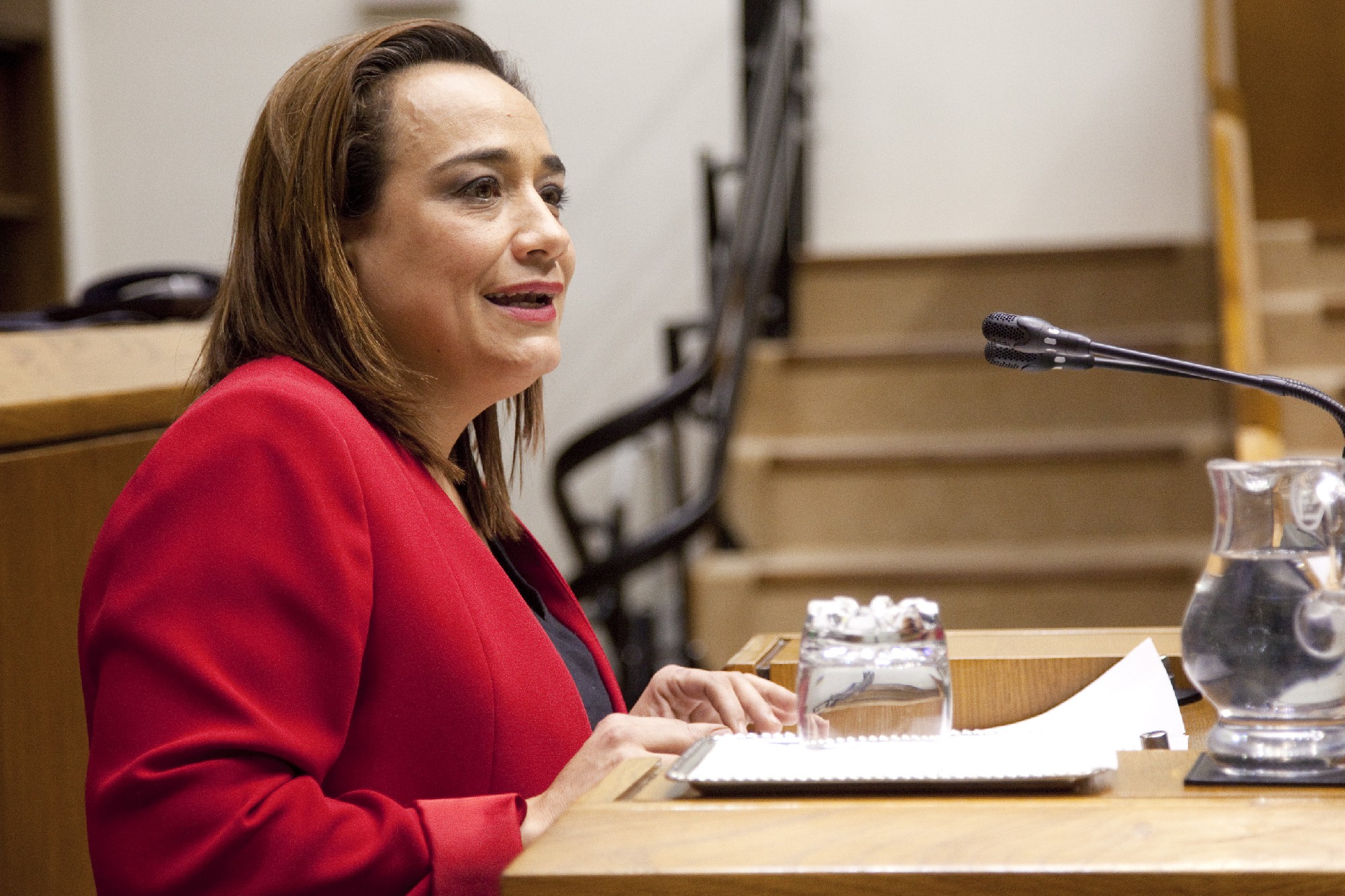 Rafi Romero, en una intervenci&oacute;n en el Parlamento Vasco | Foto: Parlamento Vasco.