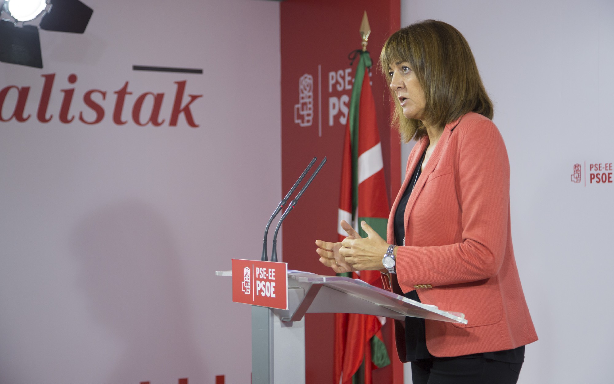 Rueda de prensa de Idoia Mendia Foto|Socialistas Vascos