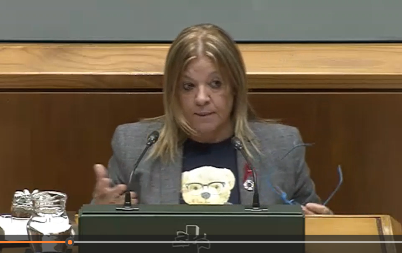 La portavoz de Derechos Humanos en el Parlamento Vasco, MIren Gallátegui.